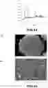 Fig. 10 - Iridium and / or iridium oxide microsphere-based porous material, preparation method therefor, and uses thereof