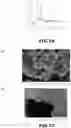 Fig. 11 - Iridium and / or iridium oxide microsphere-based porous material, preparation method therefor, and uses thereof