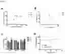 Fig. 03 - Sequestering agents, kits therefor, and methods of using sequestering agents and kits therefor