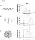 Fig. 06 - Sequestering agents, kits therefor, and methods of using sequestering agents and kits therefor