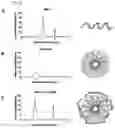 Fig. 07 - Sequestering agents, kits therefor, and methods of using sequestering agents and kits therefor