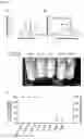 Fig. 08 - Sequestering agents, kits therefor, and methods of using sequestering agents and kits therefor