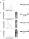 Fig. 09 - Sequestering agents, kits therefor, and methods of using sequestering agents and kits therefor