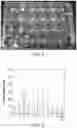 Fig. 08 - Methods and compositions for improving plant traits