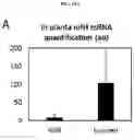 Fig. 16 - Methods and compositions for improving plant traits