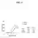 Fig. 05 - Compositions of polyhydroxylated benzophenones and methods of treatment of neurodegenerative disorders