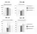 Fig. 10 - Compositions of polyhydroxylated benzophenones and methods of treatment of neurodegenerative disorders
