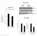 Fig. 11 - Compositions of polyhydroxylated benzophenones and methods of treatment of neurodegenerative disorders