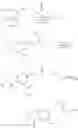 Fig. 34 - Fluoroallylamine Derivative And Use Thereof
