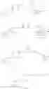 Fig. 44 - Fluoroallylamine Derivative And Use Thereof