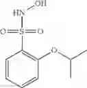 Fig. 31 - N-hydroxylsulfonamide derivatives as new physiologically useful nitroxyl donors
