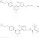 Fig. 207 - TRIAZINE COMPOUNDS AND PHARMACEUTICAL USE THEREOF