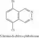 Fig. 19 - Fused bicyclic compounds, compositions and applications thereof