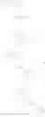 Fig. 29 - Fused bicyclic compounds, compositions and applications thereof