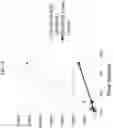 Fig. 35 - CRYSTALLINE PHARMACEUTICAL AND METHODS OF PREPARATION AND USE THEREOF