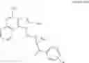 Fig. 08 - Imidazo[4,5-c] ring compounds containing guanidine substituted benzamide groups