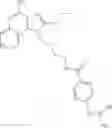Fig. 20 - Imidazo[4,5-c] ring compounds containing guanidine substituted benzamide groups