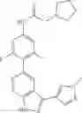 Fig. 145 - Pyrazolopyridine compounds and uses thereof