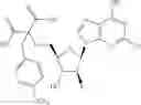 Fig. 100 - Ectonucleotidase inhibitors and methods of use thereof