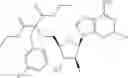 Fig. 109 - Ectonucleotidase inhibitors and methods of use thereof