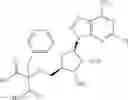 Fig. 115 - Ectonucleotidase inhibitors and methods of use thereof