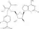Fig. 122 - Ectonucleotidase inhibitors and methods of use thereof