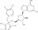 Fig. 124 - Ectonucleotidase inhibitors and methods of use thereof