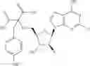 Fig. 130 - Ectonucleotidase inhibitors and methods of use thereof