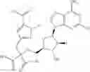 Fig. 137 - Ectonucleotidase inhibitors and methods of use thereof