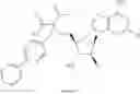 Fig. 145 - Ectonucleotidase inhibitors and methods of use thereof