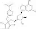 Fig. 147 - Ectonucleotidase inhibitors and methods of use thereof