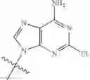 Fig. 15 - Ectonucleotidase inhibitors and methods of use thereof