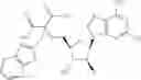 Fig. 161 - Ectonucleotidase inhibitors and methods of use thereof