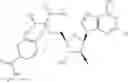 Fig. 162 - Ectonucleotidase inhibitors and methods of use thereof