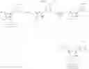 Fig. 185 - Ectonucleotidase inhibitors and methods of use thereof
