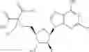 Fig. 200 - Ectonucleotidase inhibitors and methods of use thereof