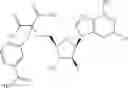 Fig. 206 - Ectonucleotidase inhibitors and methods of use thereof