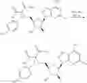 Fig. 213 - Ectonucleotidase inhibitors and methods of use thereof