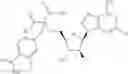 Fig. 216 - Ectonucleotidase inhibitors and methods of use thereof