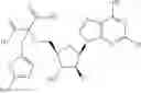 Fig. 217 - Ectonucleotidase inhibitors and methods of use thereof
