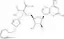 Fig. 221 - Ectonucleotidase inhibitors and methods of use thereof