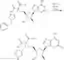Fig. 222 - Ectonucleotidase inhibitors and methods of use thereof
