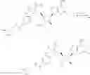 Fig. 235 - Ectonucleotidase inhibitors and methods of use thereof