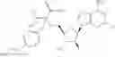 Fig. 237 - Ectonucleotidase inhibitors and methods of use thereof