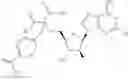 Fig. 244 - Ectonucleotidase inhibitors and methods of use thereof