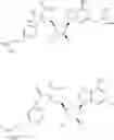 Fig. 247 - Ectonucleotidase inhibitors and methods of use thereof