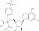 Fig. 281 - Ectonucleotidase inhibitors and methods of use thereof