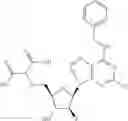 Fig. 285 - Ectonucleotidase inhibitors and methods of use thereof
