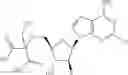 Fig. 291 - Ectonucleotidase inhibitors and methods of use thereof
