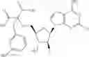 Fig. 293 - Ectonucleotidase inhibitors and methods of use thereof
